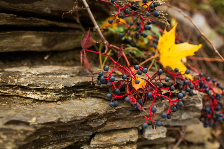 surprise_proposal_marriage_wedding_engagement_photos_lgbtq_samesex_lovewins_rob_whelan-1