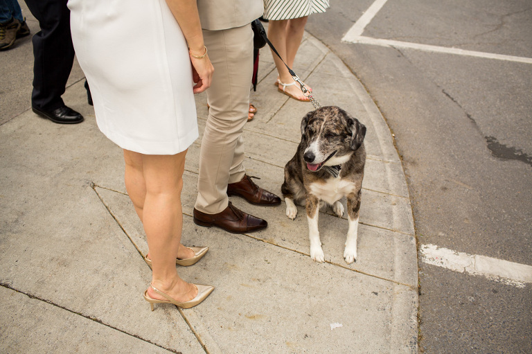 Kingston_Elopement_photographer_YGK_rob_whelan_wedding_photographer-1