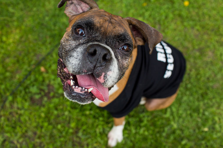 Happy_Life_Farms_Wedding_country_barn_rustic_chic_photojournalism_candid_ygk_kingston_photographer_rob_whelan-1