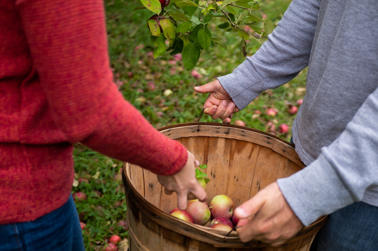 waddell_orchard_engagement_fall_autumn_laughter_fun_kingston_wedding_photographer_rob_whelan-1