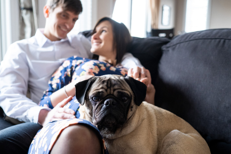 maternity-ygk-couple-cozy-pug-kingston-photographer-rob-whelan-1